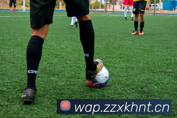 乐鱼官方版网站登录入口发展历程